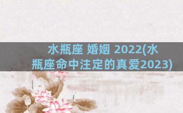 水瓶座 婚姻 2022(水瓶座命中注定的真爱2023)